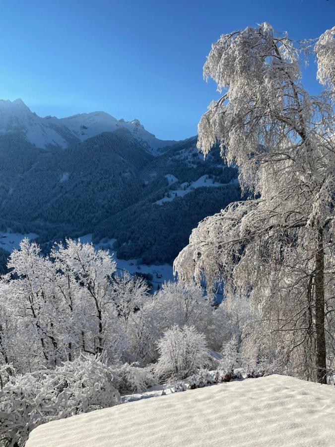 Chalet Rayon De Soleil Gryon Villars Kültér fotó